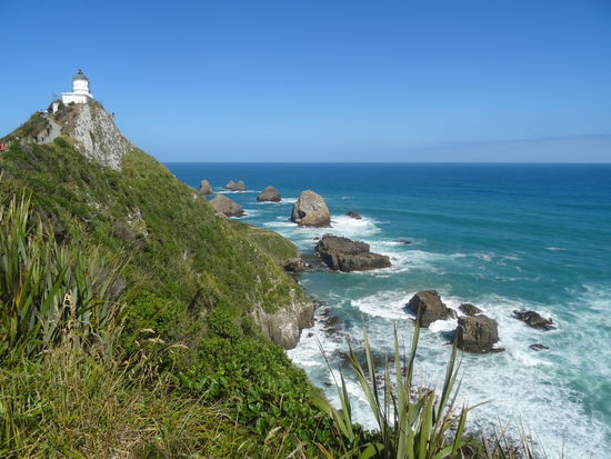 Nugget Point