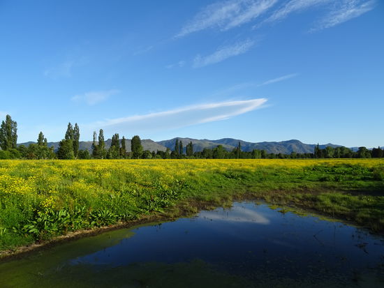 Aussicht vom Zelt...