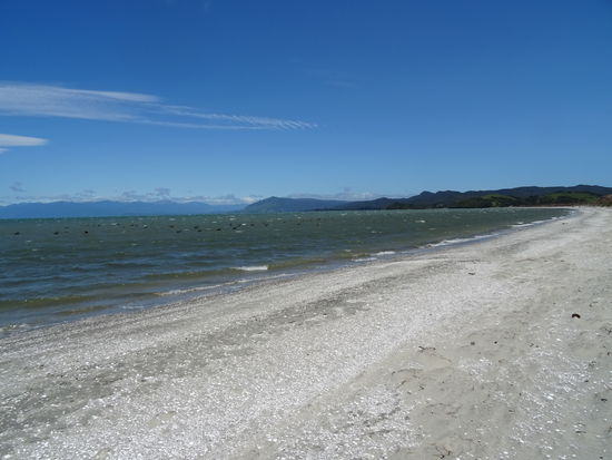 Die weissen Punkte am Strand sind Muscheln...
