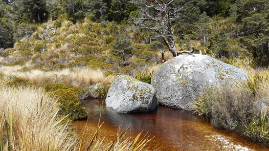 Kleiner pool mitten im Fluss...  