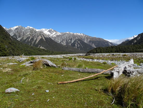 Mein Wanderstock fuer diesen Track in Szene gebracht...