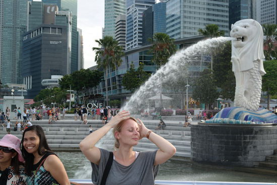 Der Merlion, dass Wahrzeichen Singapurs (mehr Infos siehe: http://de.m.wikipedia.org/wiki/Merlion)
