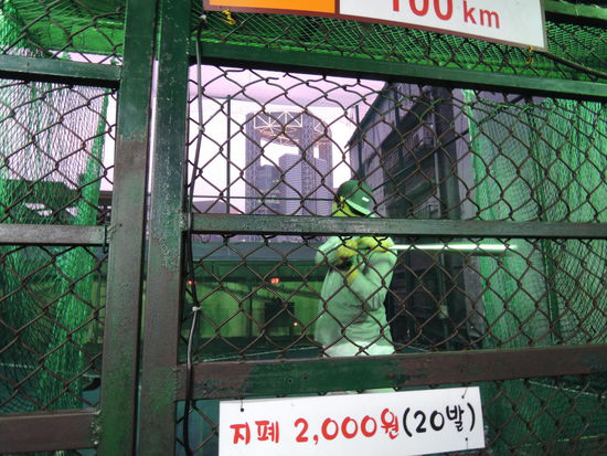 Sie lieben Baseball (ähnlich wie die Japaner).