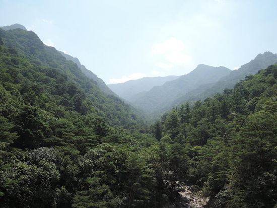 Aussichtsterasse des Freundschaftsmuseums.