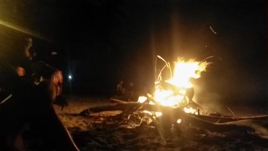 Eigentlich war es meine Idee, zu dem ganzen Holz noch etwas Pizzakarton aus nahe gelegenen Mülleimern zu holen, um das Feuer zu starten. 