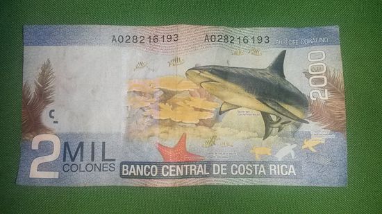 Jeder Geldschein in Costa Rica trägt ein Tiermotiv und einer ist schöner als der andere.