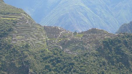 Aussicht vom Potokusi auf Maccu Picchu