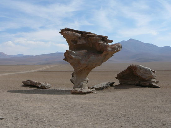 Arbol de Piedra.