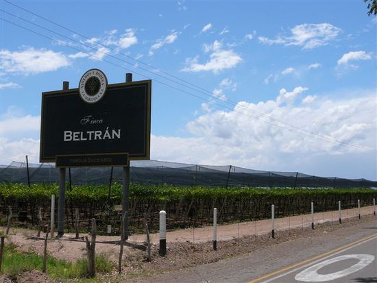 Weiterer Besuch einer Bodega in Mendoza (Familia Zuccardi)
