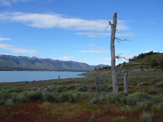 Auf dem Weg zum Gletscher entlang dem Lago Argentino.