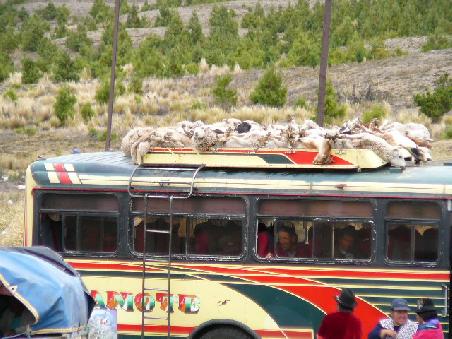 Ein Bus unterweg nach Riobamba