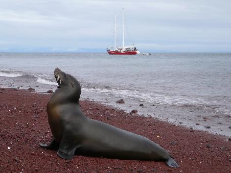 Was für eine Pose! Im Hintergrund ist unser Segelschiff zu sehen (die Encantada).