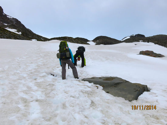 Schneefeld mit Floki