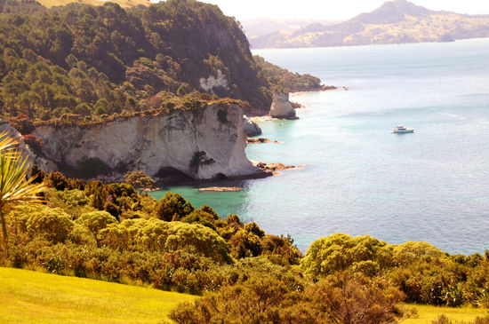 Cathedral Cove (Aussicht beim Zähneputzen)