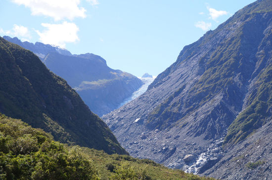 am Weg zum Fox Glacier
