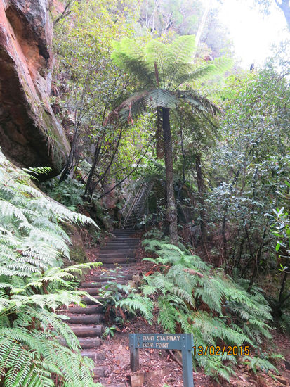 wandern in den Blue Mountains