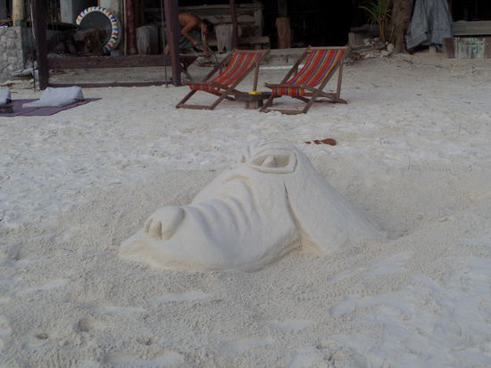 Fuer unsern Zwuck - zwar kein wildes Tier aber cool mit welcher hingabe das jeden Tag aufs neue (natuerlich wechselt das motiev) von den Barbetreibern gemacht wird.