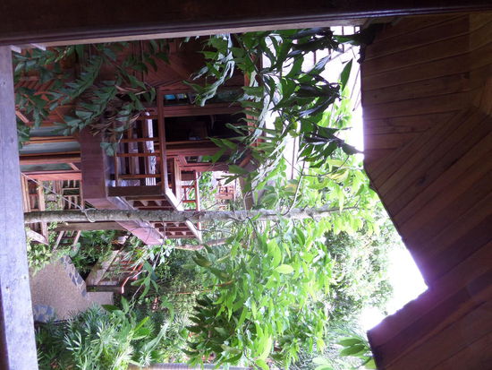 Baumhaus von aussen ...