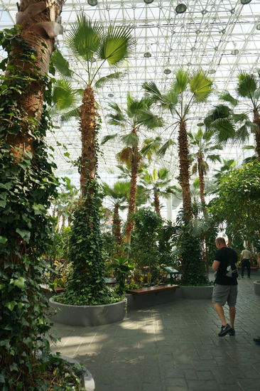 Durch den Eingang vorbei an Souvenir-Shops und Fast-Food-Tempeln die Treppe hoch gelangt man in den Crystal Garden.
