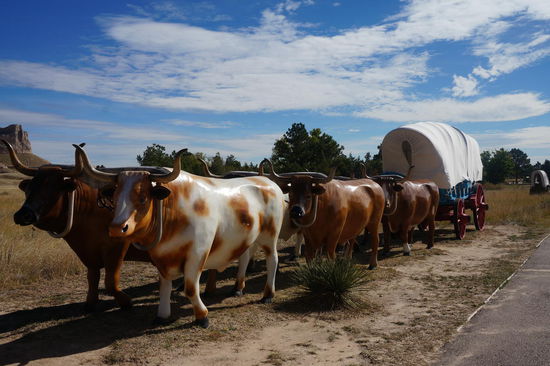 ... und mit Zugtieren.
