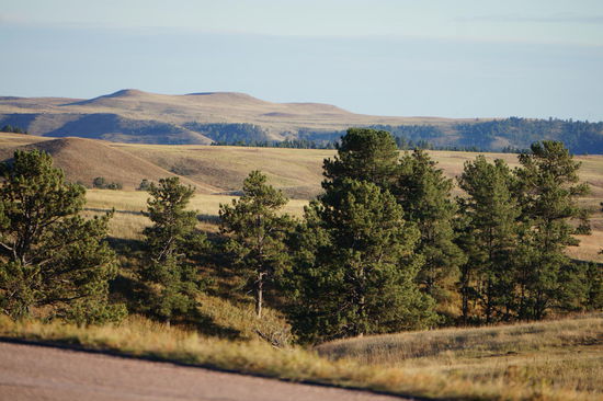 Als Einstieg ein Landschaftsbild, vom Auto aus fotografiert.