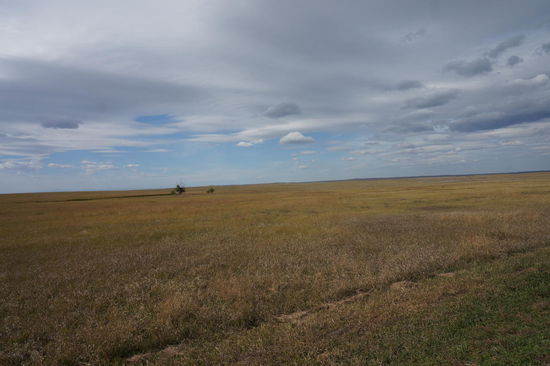 Die unendliche Weite der Prärie