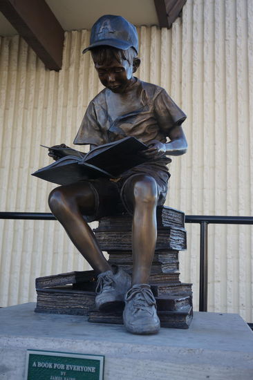 "A book for everyone"