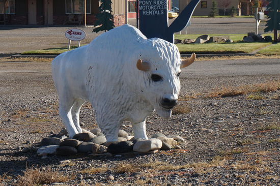 Ähnliche Tierskulpturen (Bären, Hirsche, Bison, Elche) standen vor fast jedem Hotel / Motel rum.