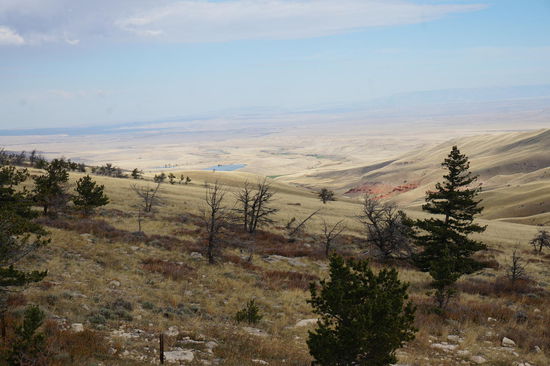 Blick auf den Ort des Geschehens.
