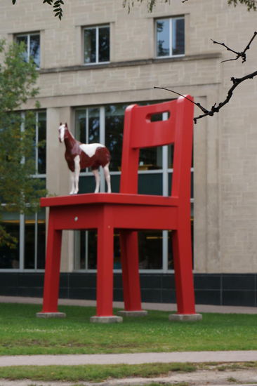 Dieser Stuhl mit Pony steht vor der Bücherei.