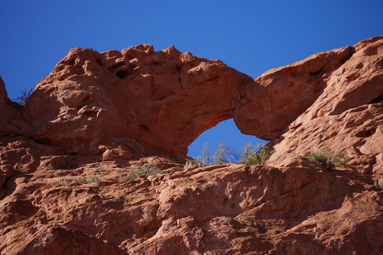 Die küssenden Kamele.