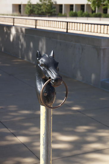 Das Pferd - ein Symbol für Wyoming.
Hier versperrt es den Weg zum Capitol.