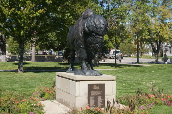 Der Büffel - das Wappentier von Wyoming