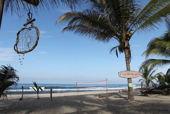 Blick aus der Haengematte