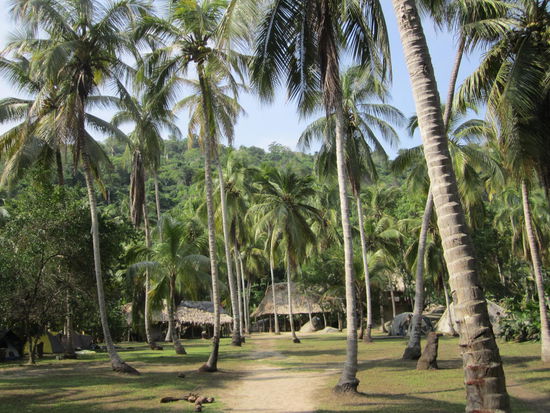 Unser Campingplatz im Parque Tayrona