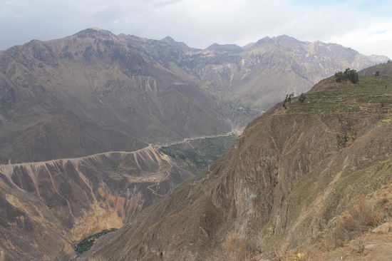 In die Oase sind wir am 2. Tag gewandert