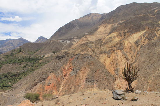 Cañon de Colca