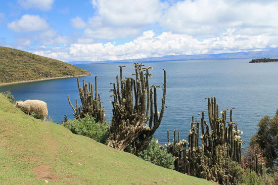 Isla de Sol, Titicacasee