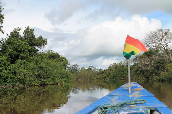 Bei der Hinfahrt zur Lodge konnten wir im Boot ganz vorne sitzen und hatten einen tollen Blick auf die ganzen Tiere und die Landschaft