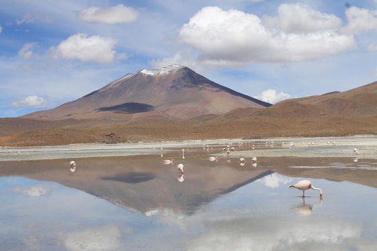 Lagune Blanca mit Flamingos am zweiten Tag