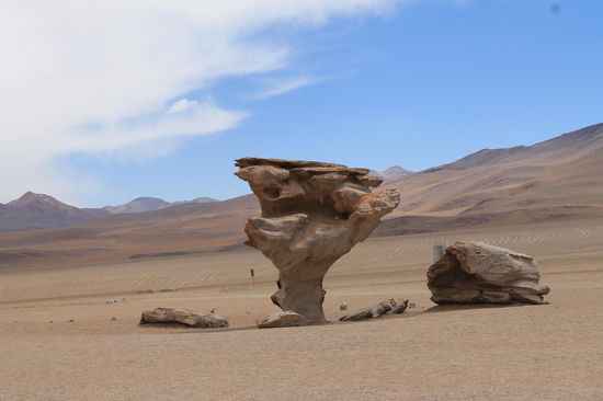 Arbol de Piedra (Steinbaum)