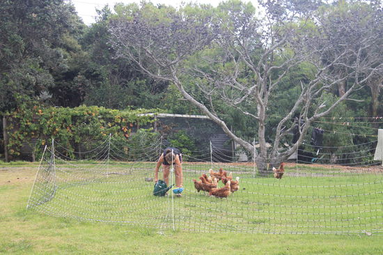 Chris bei einer unserer taeglichen Aufgaben