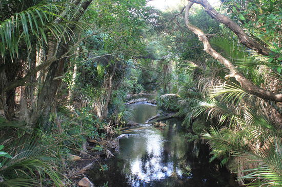 Der kleine Fluss ist in der Mitte vom Gelaende hier