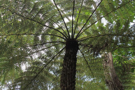 Auf dem Weg zum Wasserfall...