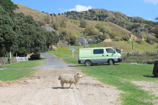 Unser kleiner Hugo-Campervan