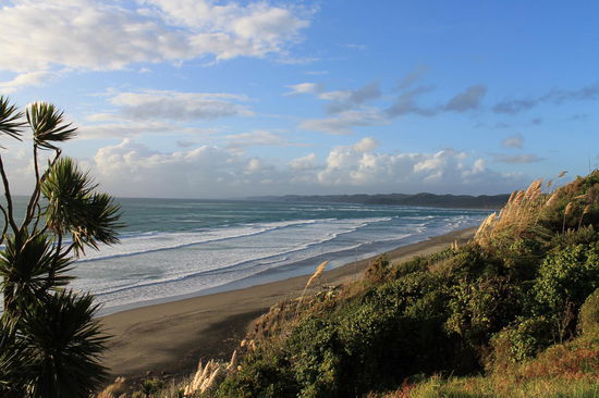 Raglan Beach