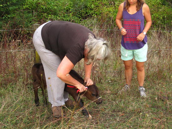 Klein Lara und Gross Lara