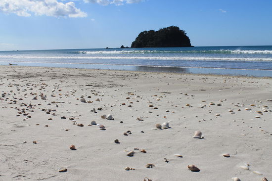 Mount Manganui Beach