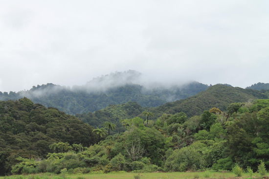 Abel Tasman Park