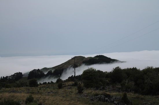 Nebelmeer bei Canaan Downs